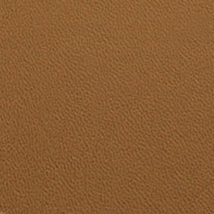 Coyote Brown