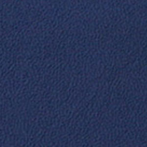 Police Blue