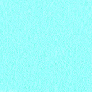 Tiffany Blue